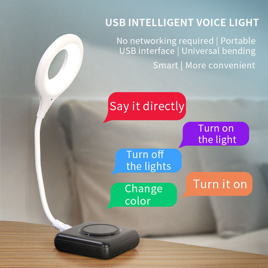 USB  Voice Control LED Night Light