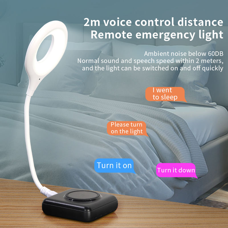 USB  Voice Control LED Night Light