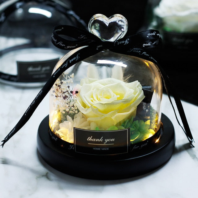 Eternal Rose With Night Light in Glass Dome