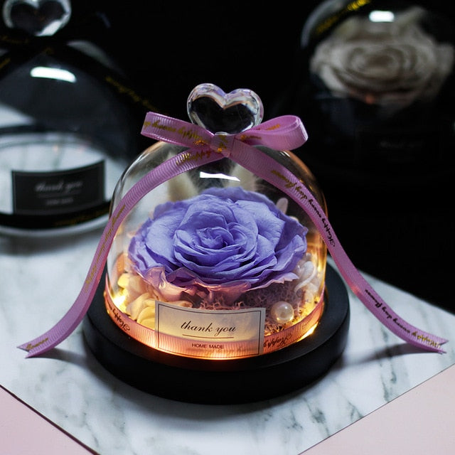 Eternal Rose With Night Light in Glass Dome