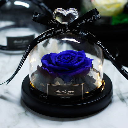 Eternal Rose With Night Light in Glass Dome