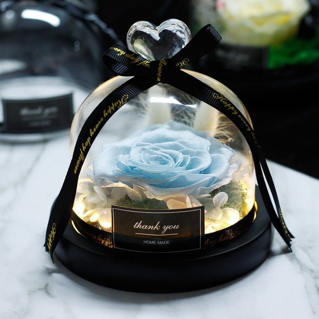 Eternal Rose With Night Light in Glass Dome