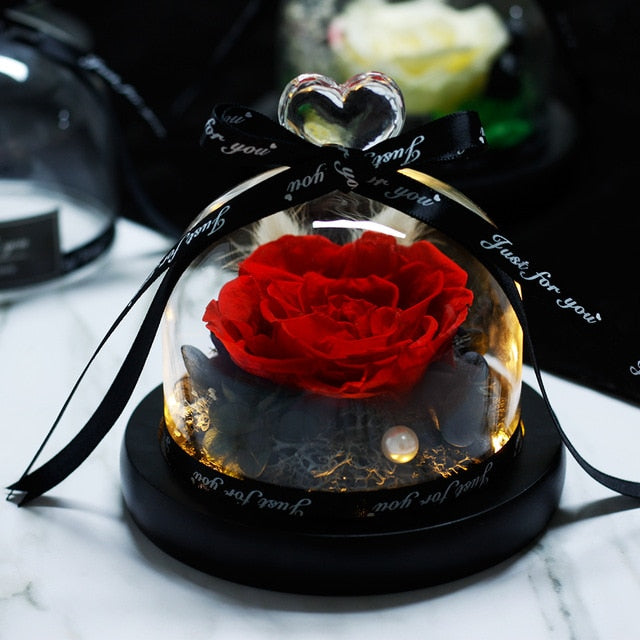 Eternal Rose With Night Light in Glass Dome