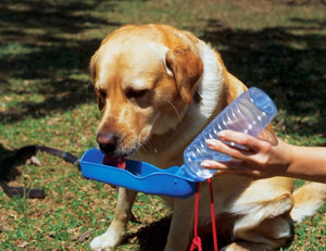 Foldable Drinking Water Bottle For Dogs